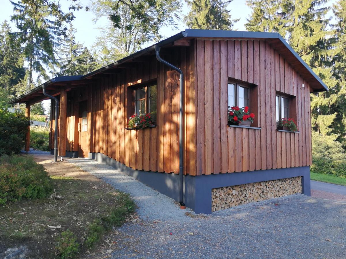 Apartamento Haus Waldfrieden Altenberg  Exterior foto